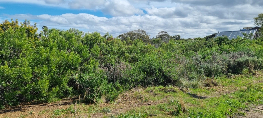 0 Bedroom Property for Sale in Noorsekloof Eastern Cape